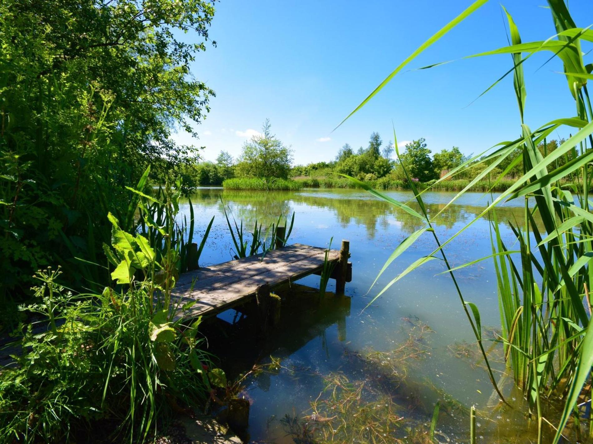 Willa 1 Bed In South Molton Oakvi Zewnętrze zdjęcie